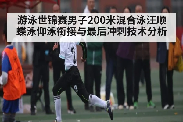 游泳世锦赛男子200米混合泳汪顺蝶泳仰泳衔接与最后冲刺技术分析